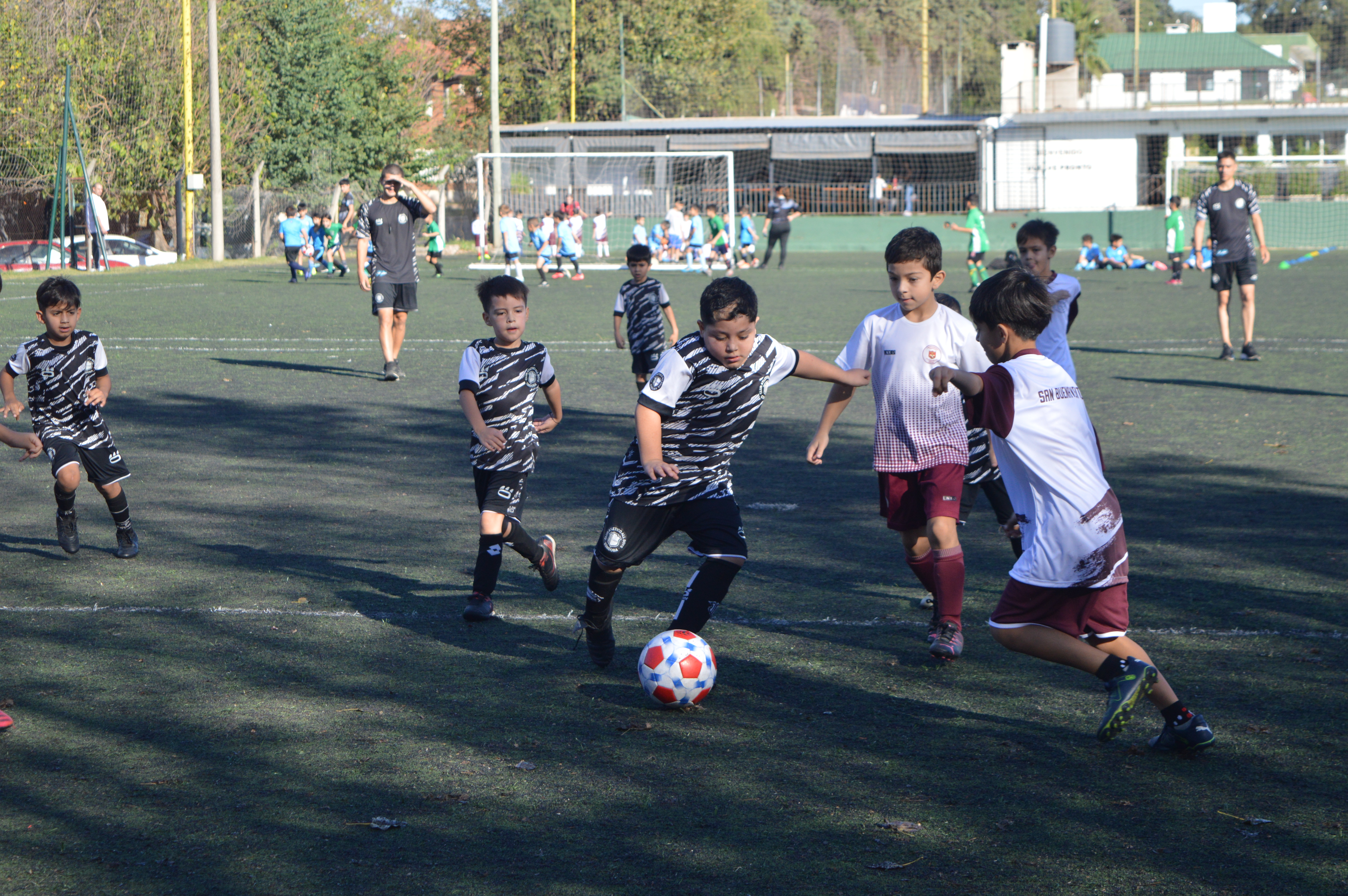 Imagen 2